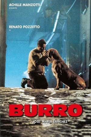 Poster Burro 1989