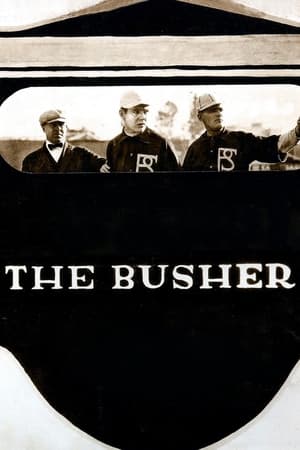 Poster The Busher 1919