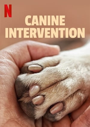 Image Terapia Canina