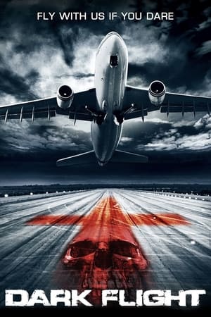 Poster 407 Dark Flight 2012