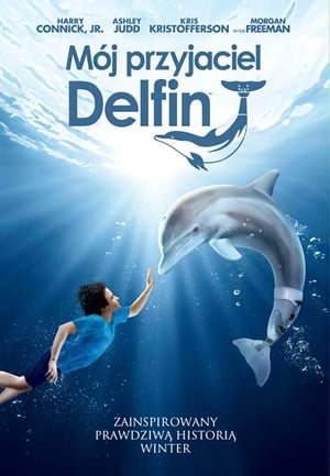 Poster Mój przyjaciel Delfin 2011