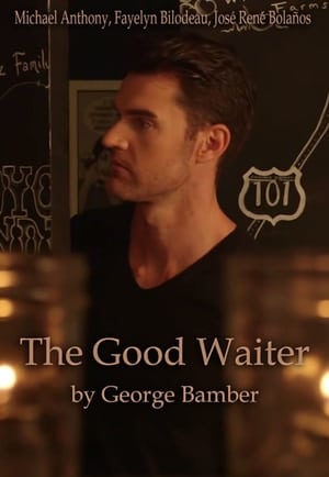 Image The Good Waiter