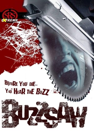 Poster Buzz Saw 2005