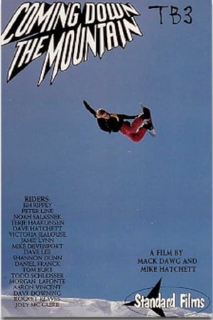 Poster TB3 - Coming Down The Mountain 1993