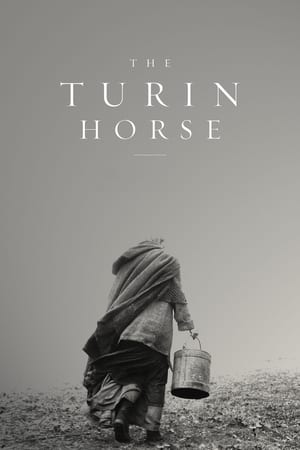 Image Торинският кон