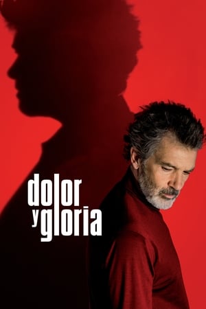 Poster Dolor y gloria 2019