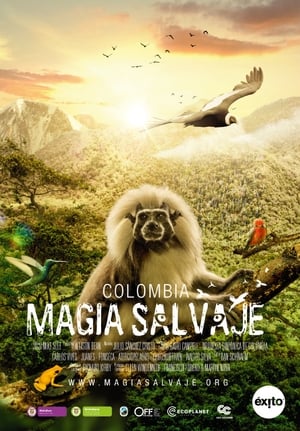 Poster Colombia: Wild Magic 2015