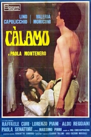 Poster Càlamo 1976