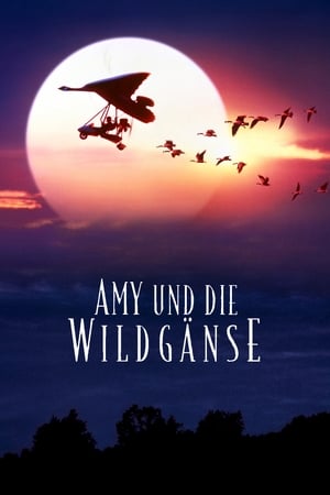 Poster Amy und die Wildgänse 1996