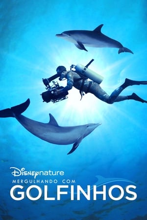 Image Diving with Dolphins