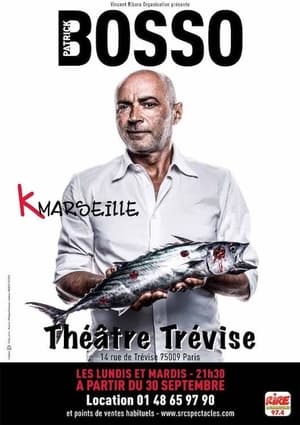 Poster Patrick Bosso - K Marseille 2014
