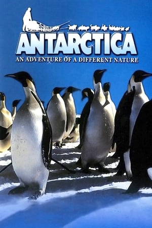 Image IMAX - l'Antarctique