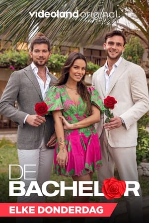 Poster De Bachelor Season 2 Episode 1 2022
