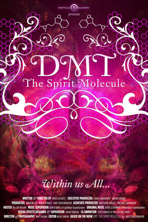 Image DMT: Molecula spiritului