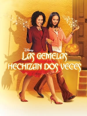 Poster Las gemelas hechizan dos veces 2005
