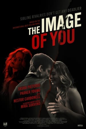 Poster The Image of You 2024