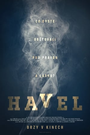 Poster Havel 2020