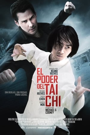 Poster El poder del Tai Chi 2013