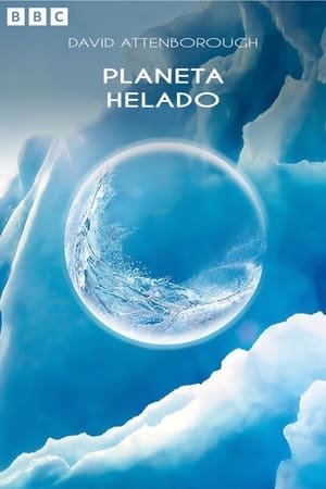 Poster Planeta Helado 2011