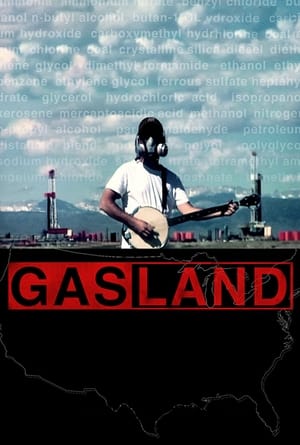 Poster Gasland 2010