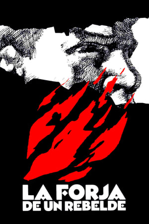 Poster La forja de un rebelde 1990