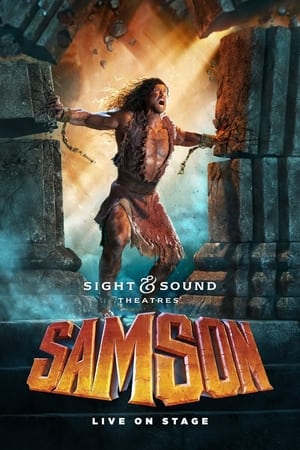 Poster Samson 2019