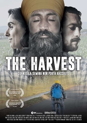 Image The Harvest