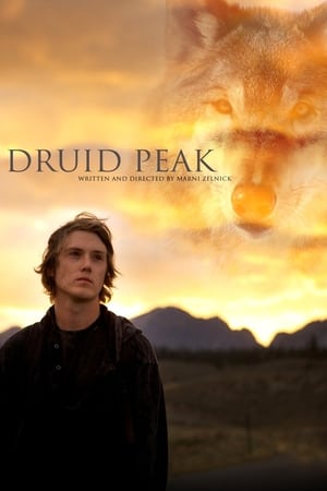 Poster Druid Peak 2014
