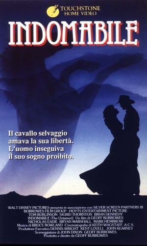 Poster Indomabile 1988