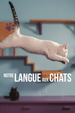Poster Notre langue aux chats 2022