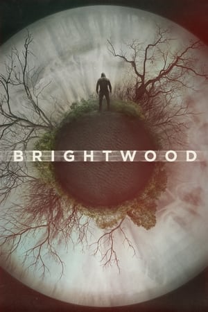 Image Brightwood