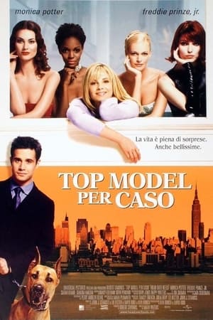 Poster Top model per caso 2001