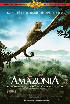 Poster Amazonia 2013