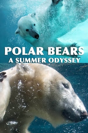 Image 北极熊：夏季奥德赛
