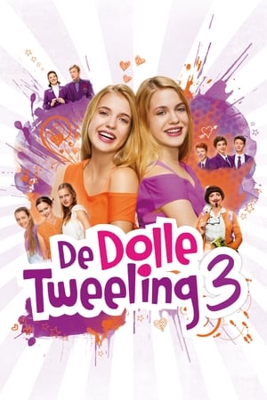 Poster De Dolle Tweeling 3 2013