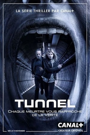 Poster Tunnel 2013