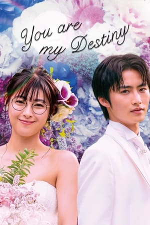 Poster You Are My Destiny Season 1 MIRACLE～付箋女に奇跡が起きた 2020