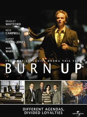 Poster Burn Up 2008
