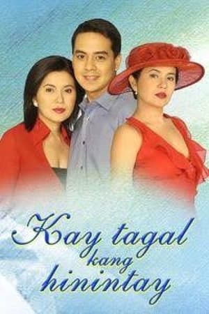 Poster Kay Tagal Kang Hinintay Sezon 1 Odcinek 220 2003