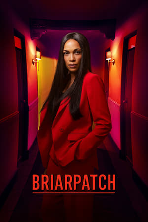 Poster Briarpatch Staffel 1 Episode 3 2020