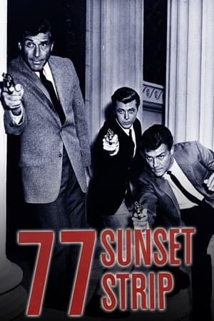 Poster 77 Sunset Strip 1958