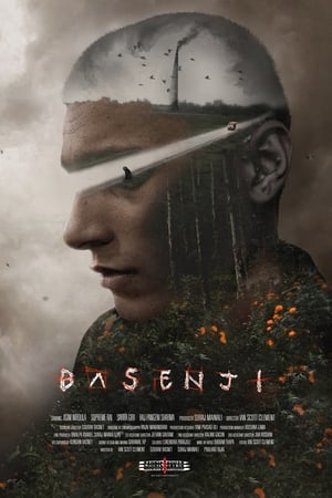 Poster Basenji 2023