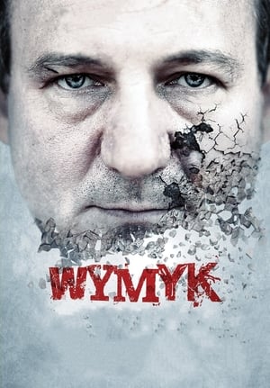 Poster Wymyk 2011
