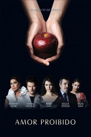 Poster Amor Prohibido Temporada 2 Episodio 4 2009