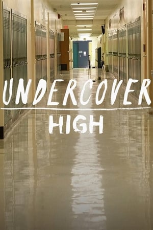 Image Undercover High