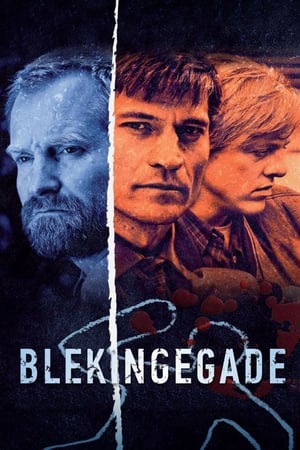 Poster Blekingegade 2009
