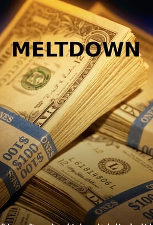 Poster Meltdown: The Secret History of the Global Collapse 2010