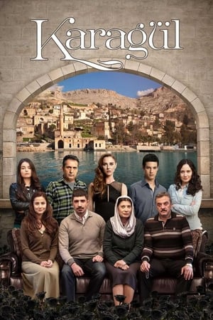 Poster Karagül 2013