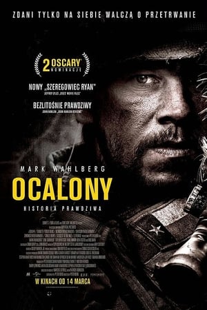 Poster Ocalony 2013