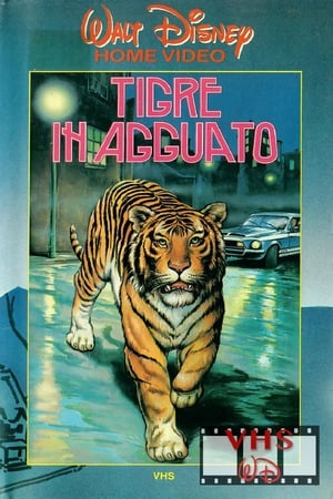 Image Tigre in agguato